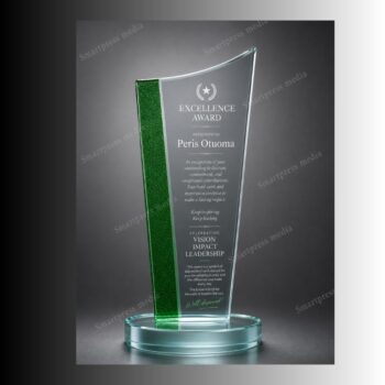 Employee Recognition Award customized for outstanding performance, excellence and staff appreciation
