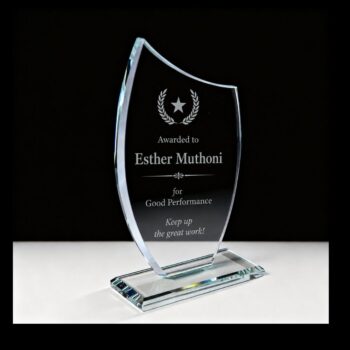 Executive Recognition Award customized for leadership excellence, outstanding achievement and professional recognition
